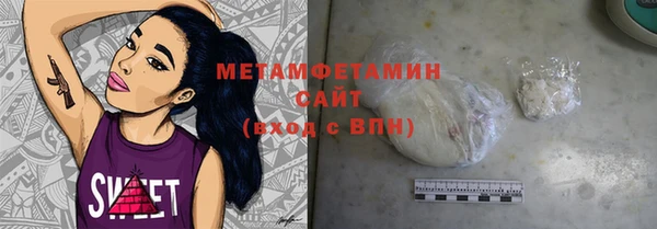 индика Алексин
