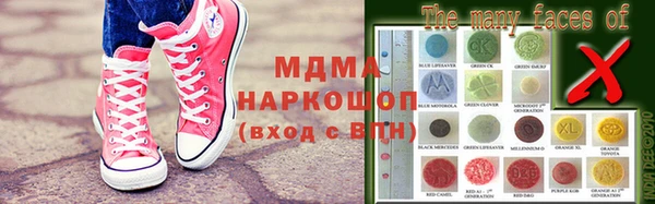 индика Алексин