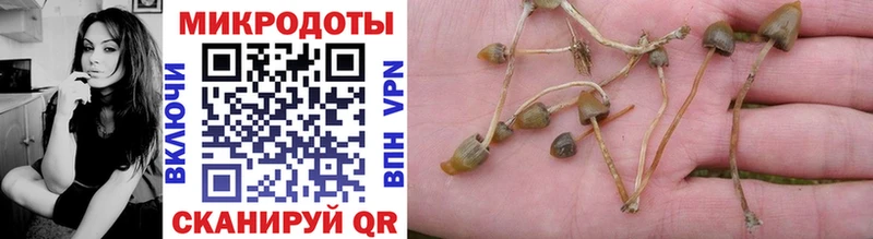 купить наркотики сайты  Щёлково  Галлюциногенные грибы мухоморы 